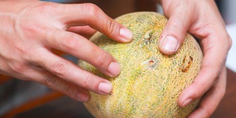 Acheter un cantaloup