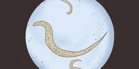 Reconnaître et prévenir une infection par les oxyures