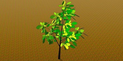Transplanter un jeune arbre