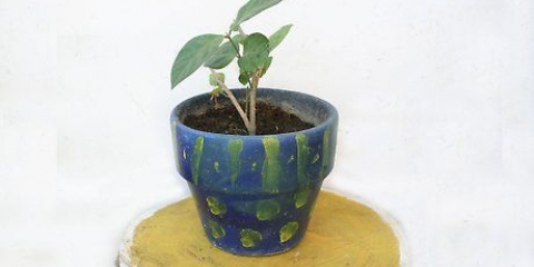 Utiliser une mèche pour arroser une plante