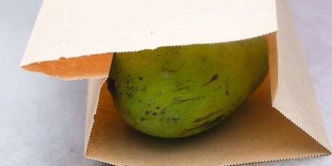Faire mûrir une mangue