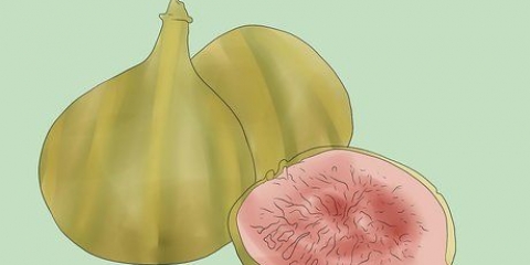 Comment faire pousser un figuier dans votre jardin