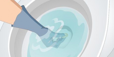 Récupérer un objet tombé dans les toilettes