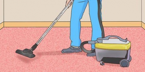 Empêchez votre maison de sentir comme vos animaux de compagnie
