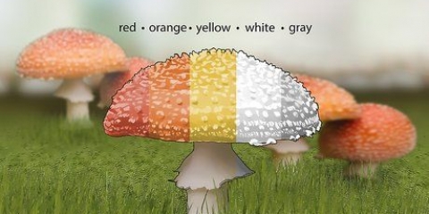 Identifier les champignons vénéneux