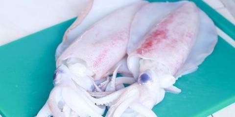 Calamars de cuisine
