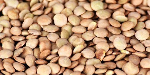 Préparer des lentilles