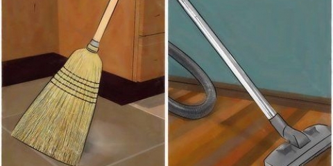 Combattre les souris naturellement