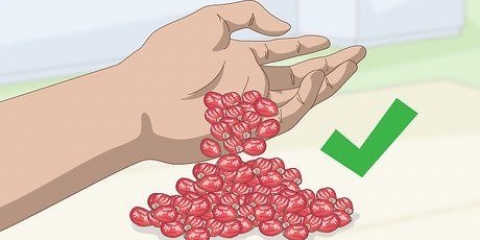 Faire de l'huile de rose musquée