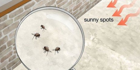Combattez naturellement les bugs du bouclier