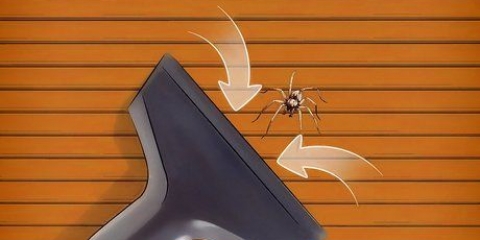 Supprimez les araignées si vous avez une phobie des araignées