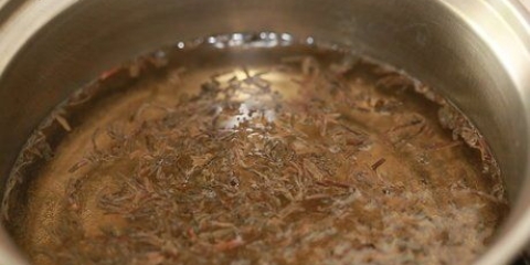 Faire du thé glacé thaï