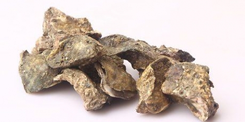 Conservation des huîtres fraîches