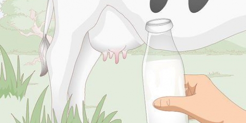 Lait entier écrémé