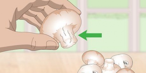 Voir si les champignons sont gâtés