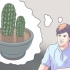 Rempoter un cactus