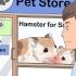 Prendre soin d'un hamster
