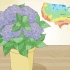 Planter un hortensia