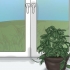 Faire fleurir une plante hoya