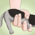 Faire caca de chaton
