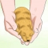 Déterminer le sexe des chiots