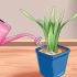 Arroser vos plantes quand vous n'êtes pas à la maison