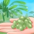 Olives en conserve
